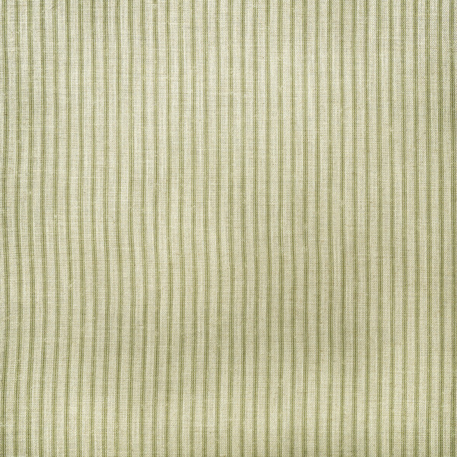 Picket in Leaf, Multipurpose Fabric by Kravet Couture