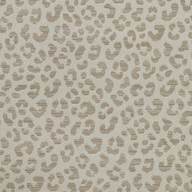 Wildcat in Stone, Upholstery Fabric by Kravet Couture