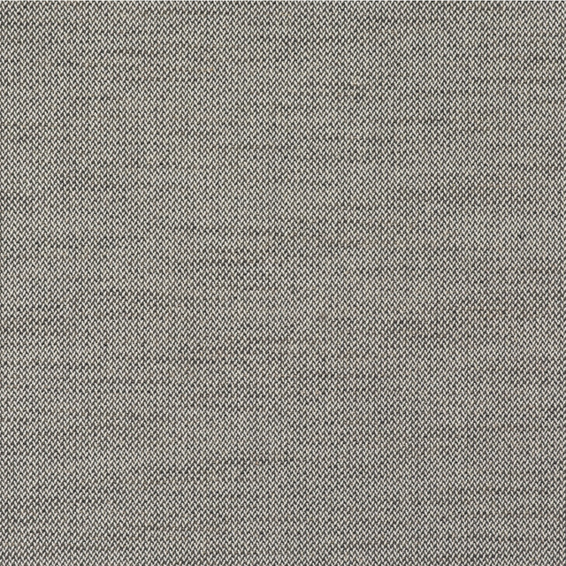 Rowboat in Thunder, Upholstery Fabric by Kravet Couture