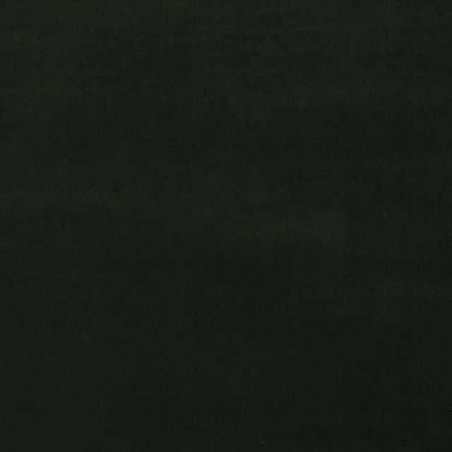 Medici in Forest, Upholstery Fabric by Kravet Couture