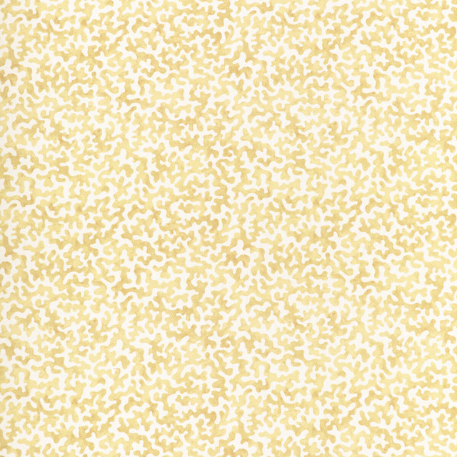 Coralcoast in Cornsilk, Multipurpose Fabric by Kravet Basics