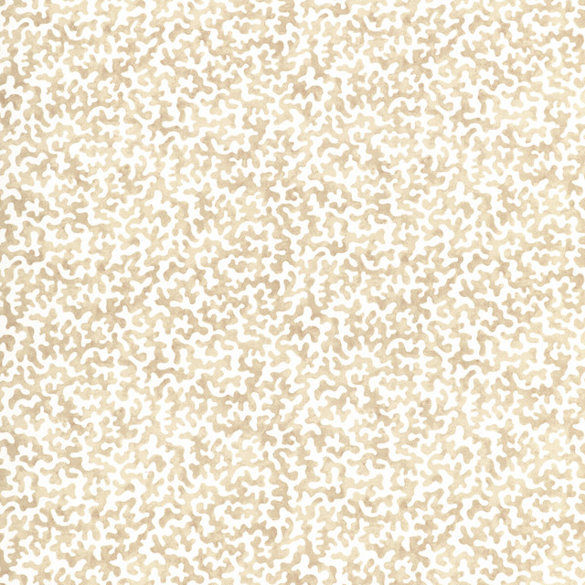 Coralcoast in Sand, Multipurpose Fabric by Kravet Basics