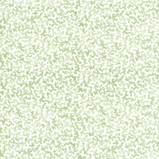 Coralcoast in Sage, Multipurpose Fabric by Kravet Basics
