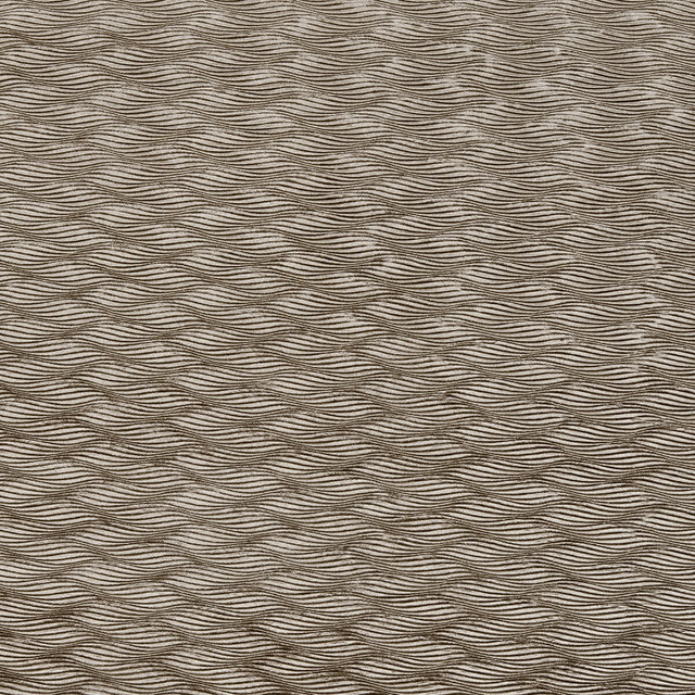 Tempo in Ash, Upholstery Fabric by Clarke & Clarke