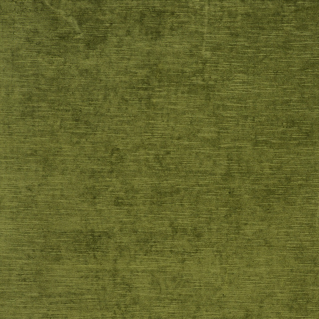 Carlo in Olive, Multipurpose Fabric by Clarke & Clarke