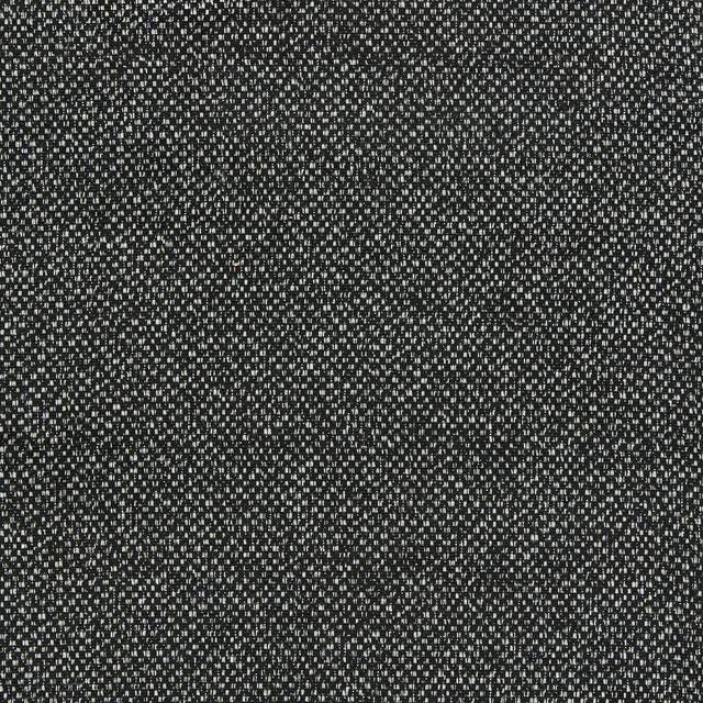 Filum in Ebony, Upholstery Fabric by Clarke & Clarke