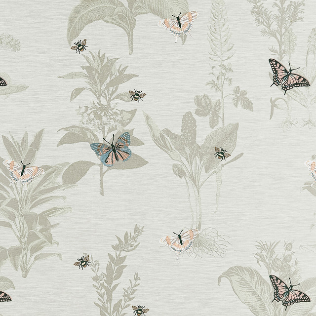 Monarch in Eau De Nil, Multipurpose Fabric by Clarke & Clarke