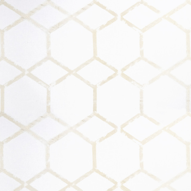 Forma in Champagne, Drapery Fabric by Clarke & Clarke