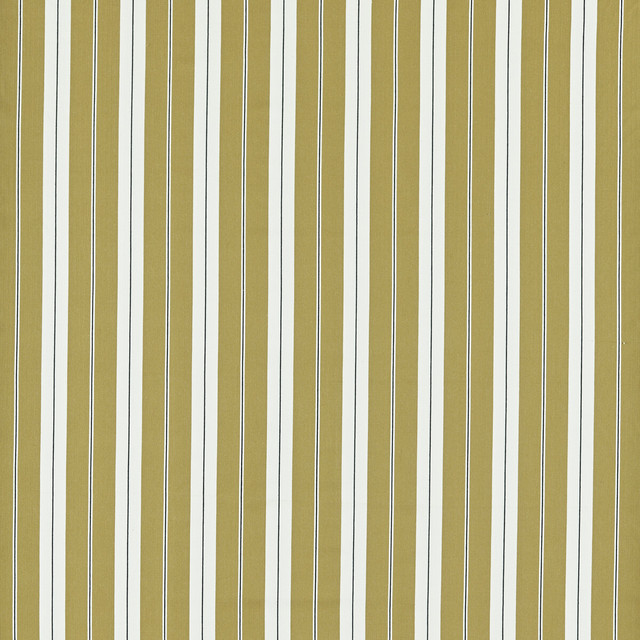 Belgravia in Ochre/charcoal, Upholstery Fabric by Clarke & Clarke
