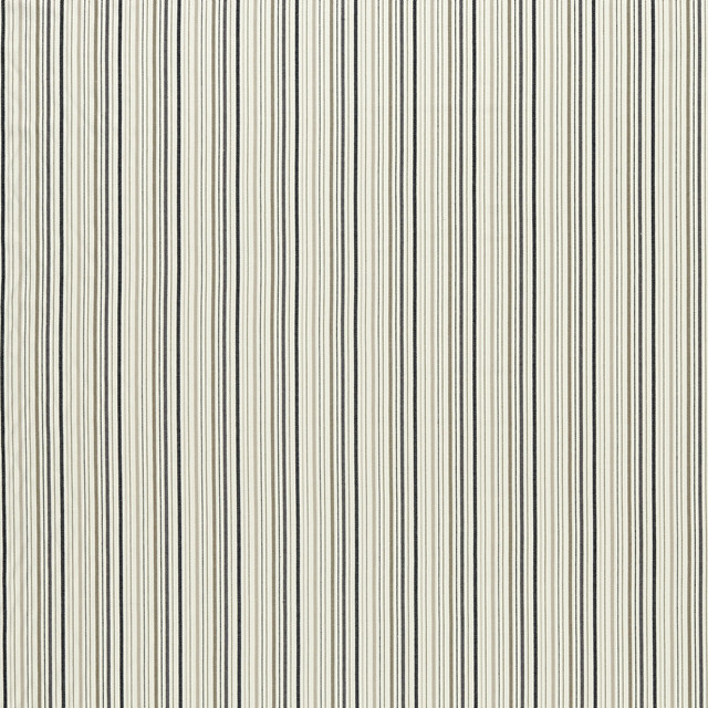 Maryland in Charcoal/natural, Upholstery Fabric by Clarke & Clarke