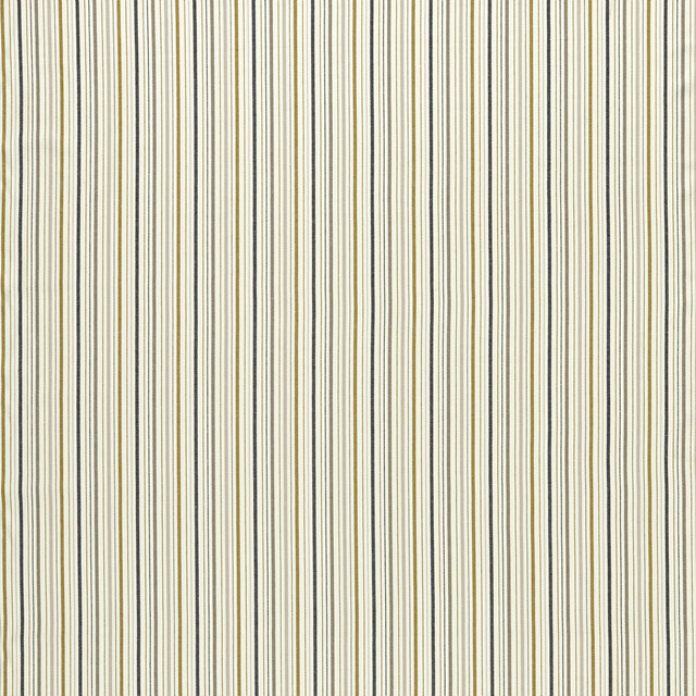Maryland in Ochre/charcoal, Upholstery Fabric by Clarke & Clarke