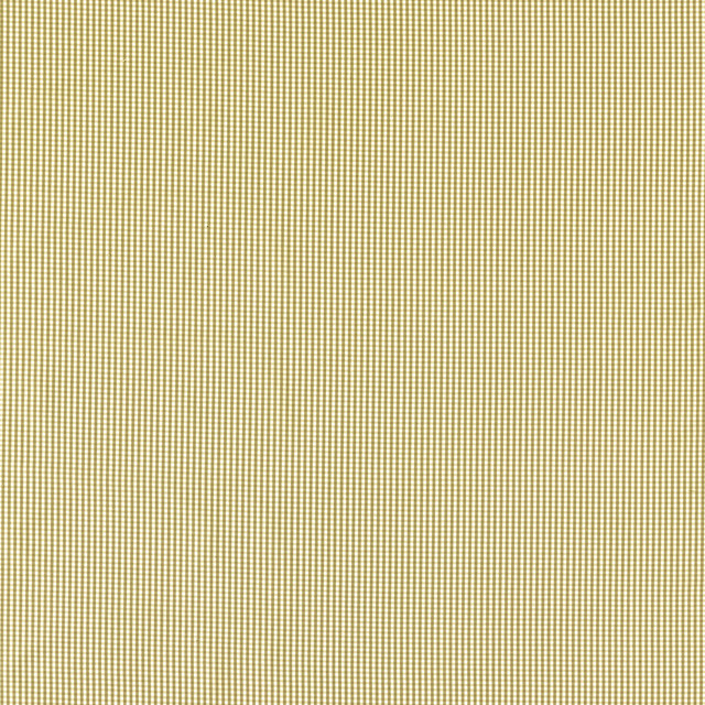Windsor in Ochre, Upholstery Fabric by Clarke & Clarke