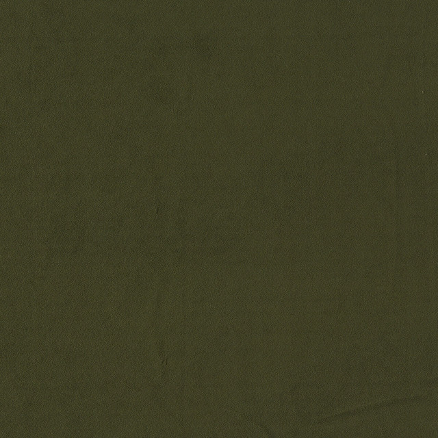 Miami in Herb, Drapery Fabric by Clarke & Clarke