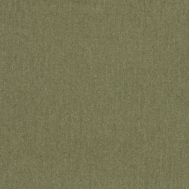 Rowland in Moss, Upholstery Fabric by Clarke & Clarke