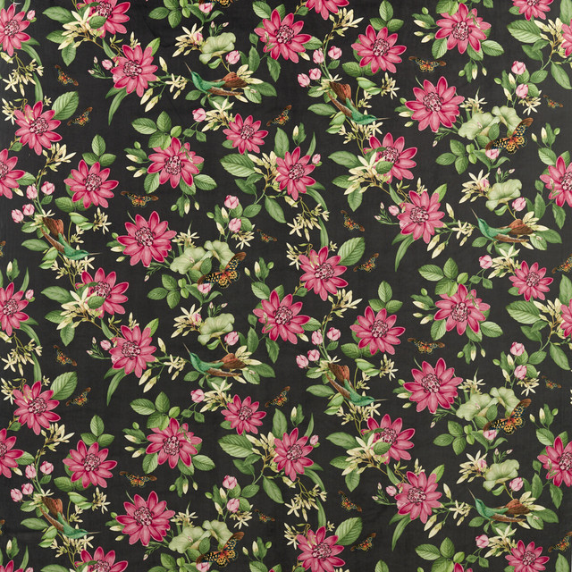 Pink Lotus in Noir Velvet, Multipurpose Fabric by Clarke & Clarke