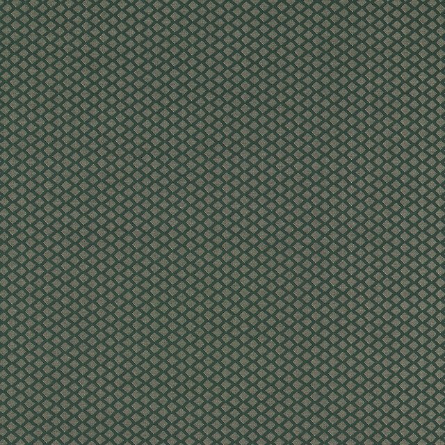Equator in Forest, Upholstery Fabric by Clarke & Clarke