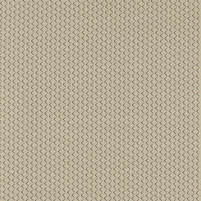 Equator in Natural, Upholstery Fabric by Clarke & Clarke