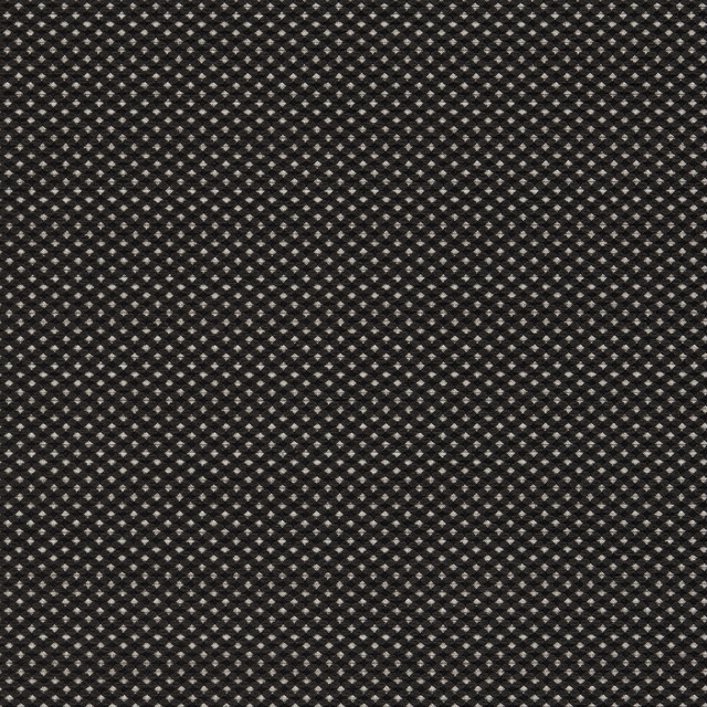 Pavo in Noir, Upholstery Fabric by Clarke & Clarke