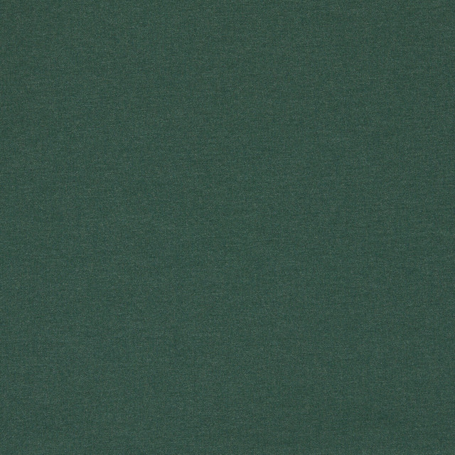 Lugo in Forest, Multipurpose Fabric by Clarke & Clarke