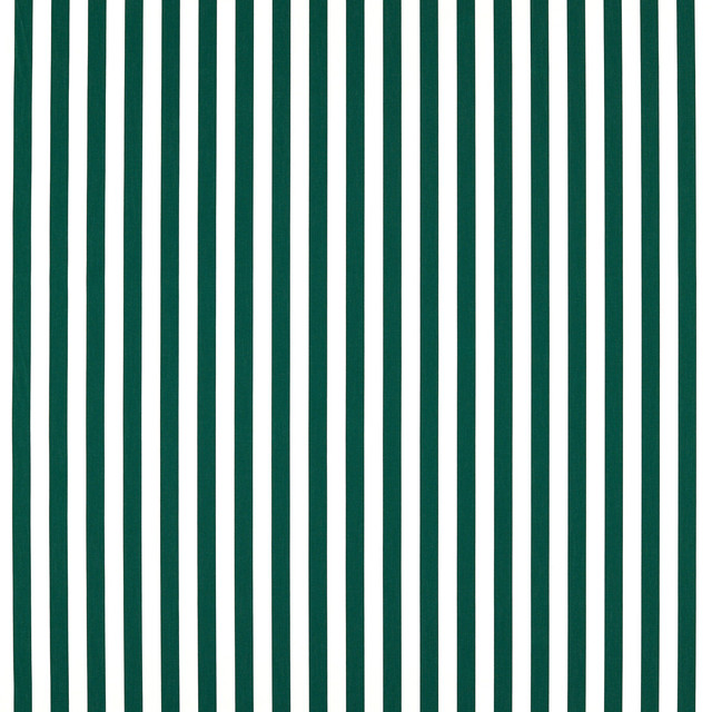 Sicily in Forest, Multipurpose Fabric by Clarke & Clarke