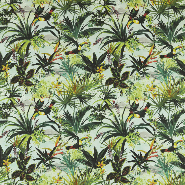 Toucan in Outdoor, Multipurpose Fabric by Clarke & Clarke(1)