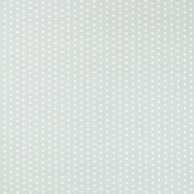 Seastar in Mineral, Multipurpose Fabric by Clarke & Clarke