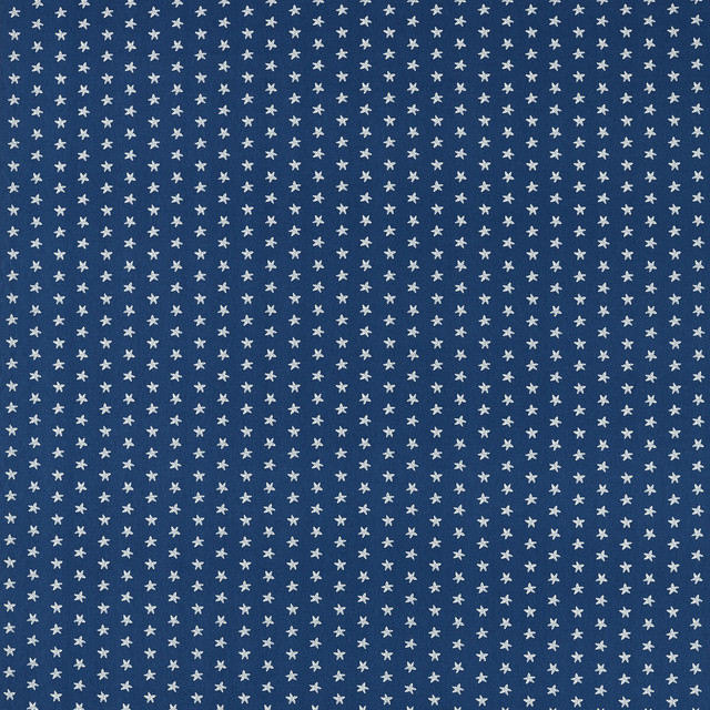 Seastar in Navy, Multipurpose Fabric by Clarke & Clarke