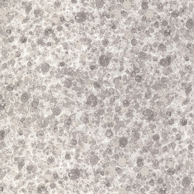 Fizzled in Linen, Multipurpose Fabric by Kravet Basics