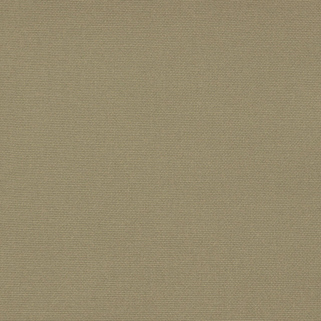 Palma in Caracol, Upholstery Fabric by Gaston Y Daniela