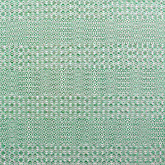 Kailas in Verde, Upholstery Fabric by Gaston Y Daniela