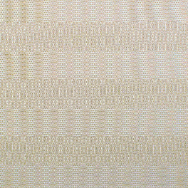 Kailas in Beige, Upholstery Fabric by Gaston Y Daniela