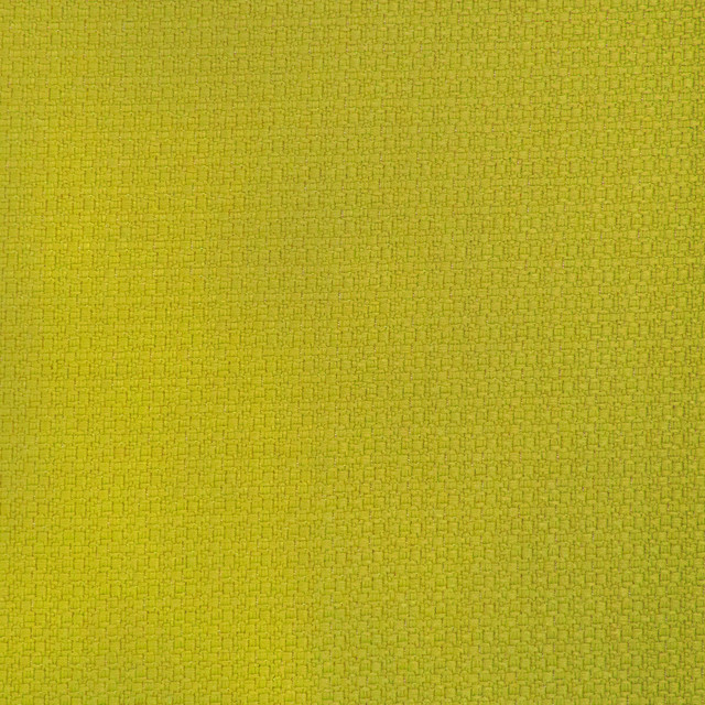 Lhasa in Lima, Upholstery Fabric by Gaston Y Daniela