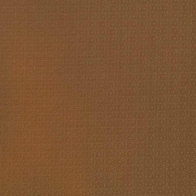 Lhasa in Tabaco, Upholstery Fabric by Gaston Y Daniela