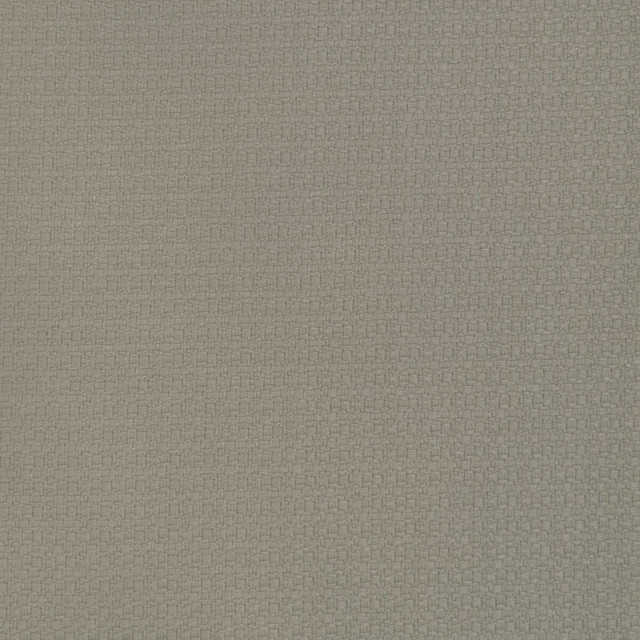 Lhasa in Vison, Upholstery Fabric by Gaston Y Daniela