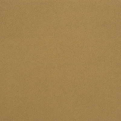 Kravet Design in Genslar-16, Upholstery Fabric