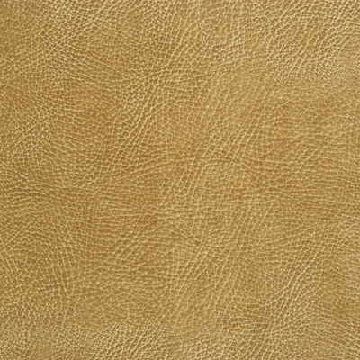 Kravet Design in Glendale-16, Upholstery Fabric