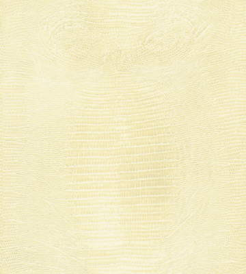 Haute Croc in Ivory, Upholstery Fabric by Kravet Couture