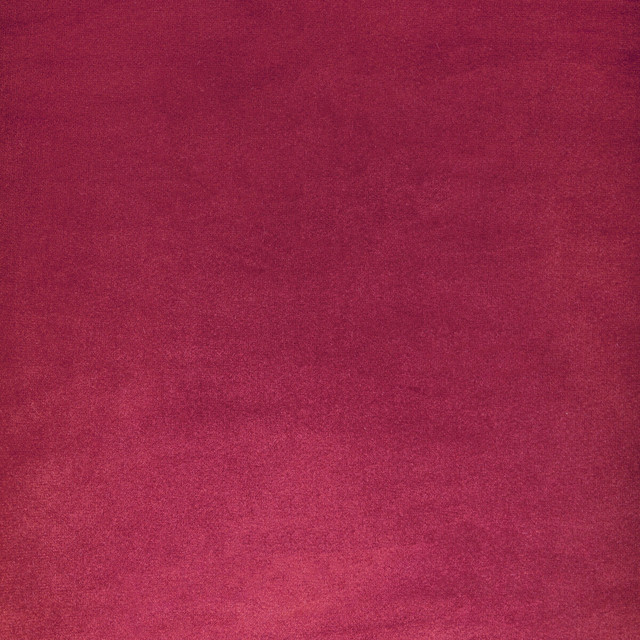 Rocco Velvet in Rosa, Upholstery Fabric by Kravet Contract(1)