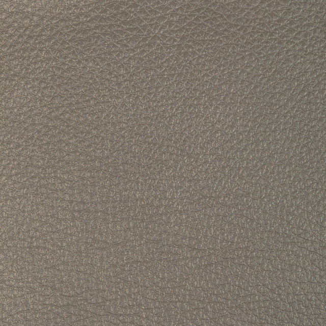 Kravet Design in L-conchas-elephant, Upholstery Fabric