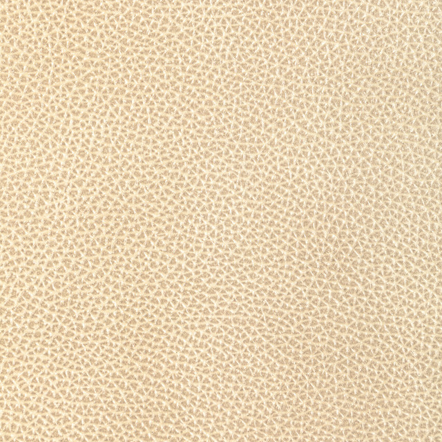 Kravet Design in L-dixie-champagne, Upholstery Fabric