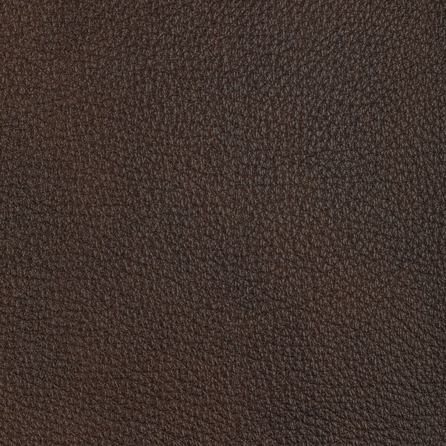 Kravet Design in L-el Cerro-espresso, Upholstery Fabric