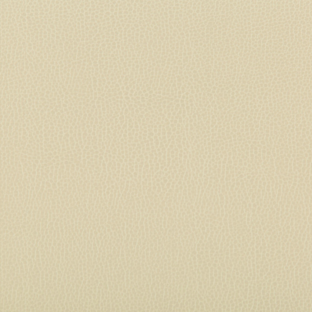 Lenox in Papyrus, Upholstery Fabric by Kravet Contract