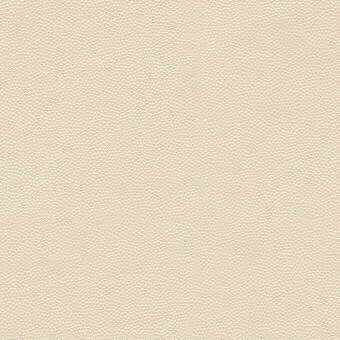 Kravet Design in Litestar-1, Upholstery Fabric