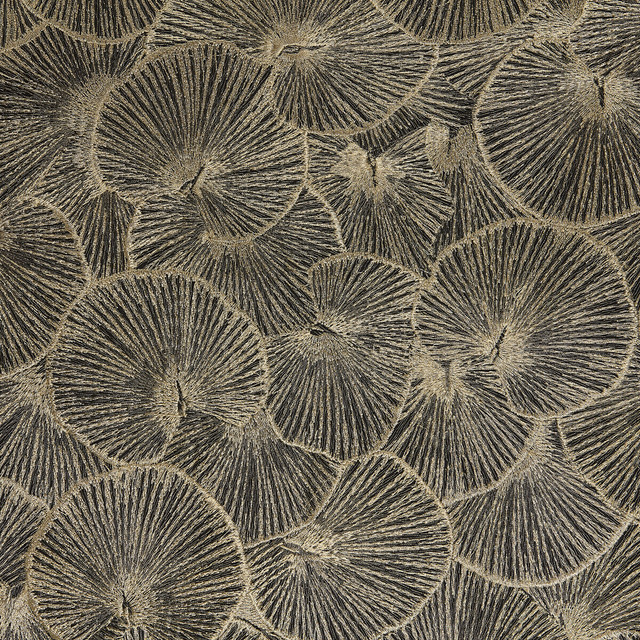 Lotus in 05, Drapery Fabric by Kravet Design