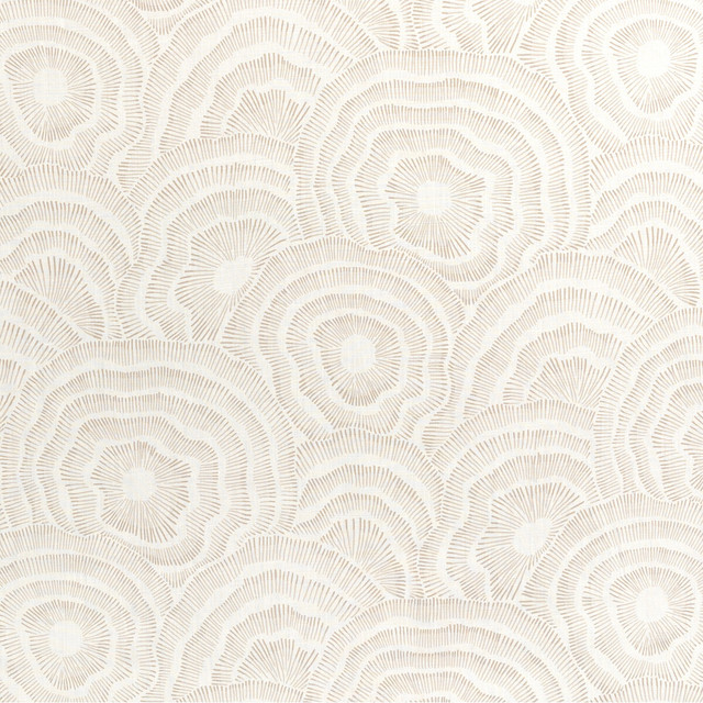 Panache in Natural, Multipurpose Fabric by Kravet Couture