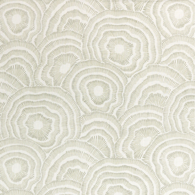 Panache in Leaf, Multipurpose Fabric by Kravet Couture