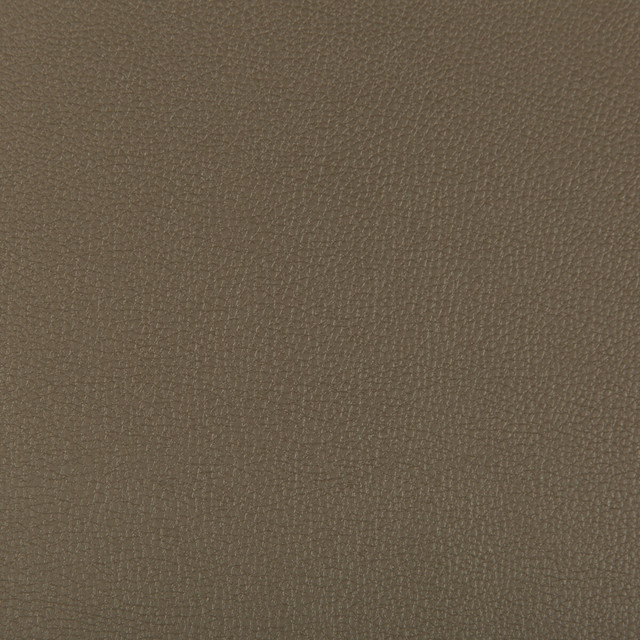 Syrus in Porcini, Upholstery Fabric by Kravet Contract