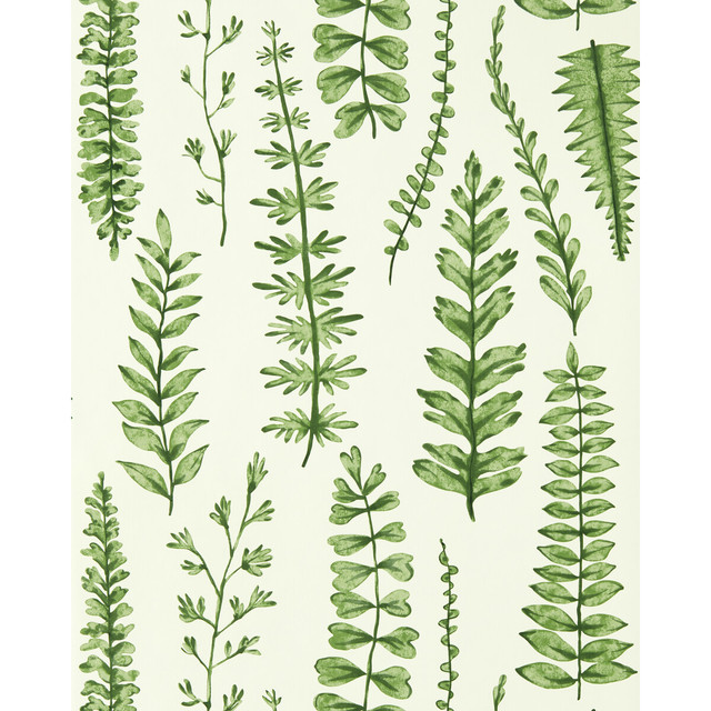 Ferns in Juniper, Wallcovering by Scion
