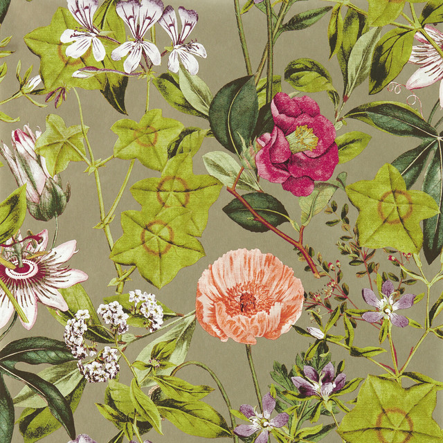 Passiflora in Mulberry/gilver Wp, Wallcovering by Clarke & Clarke