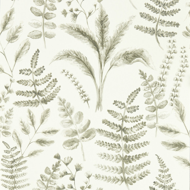 Bracken in Natural Wp, Wallcovering by Clarke & Clarke